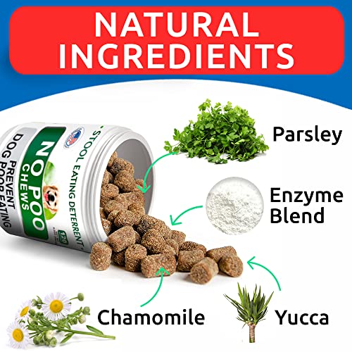 NO Poo Treats - Prevent Dog Poop Eating - Coprophagia Treatment - Stool Eating Deterrent - Probiotics & Enzymes - Digestive Health + Breath Aid - Made in USA - 120 Chews - Image 6